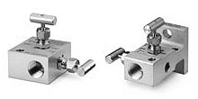 2 Valve Manifolds